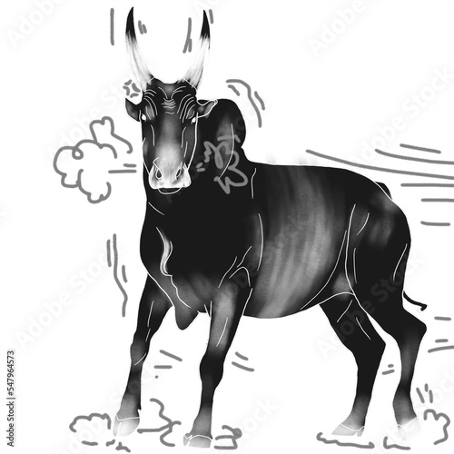 Furious Kangayam Bull – Jallikattu Bull, Cartoon Effect photo