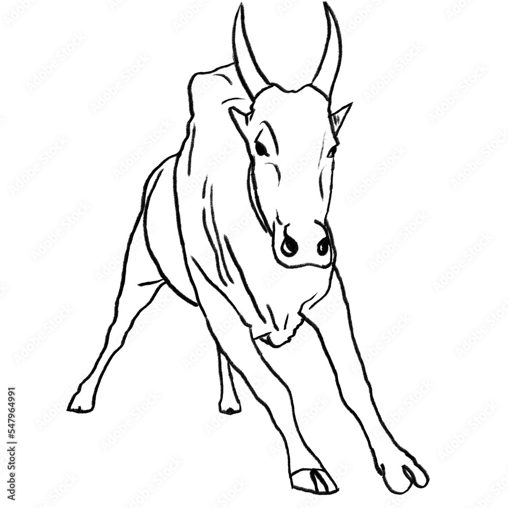 Kangayam Bull – Jallikattu Bull