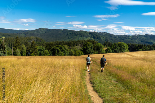 Two hikers on the hay field path with forest and mountains in the background.