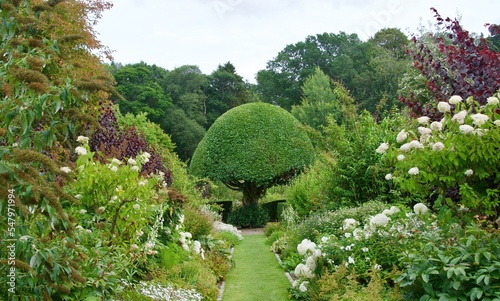 Beautiful garden in Crathes Castles in Banchory, Scotland photo
