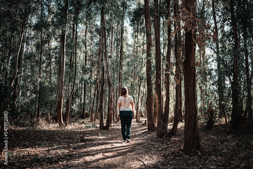 Mujer de espalda caminando y explorando bosque misterioso al atardecer	 photo