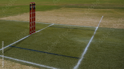 Cricket pitch and stumps