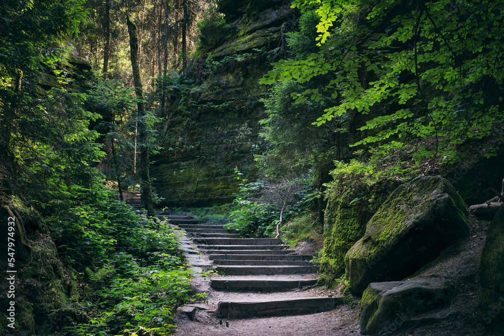 Natural landscape - view of stairs between rocks on a mountain path in Saxon Switzerland, Germany