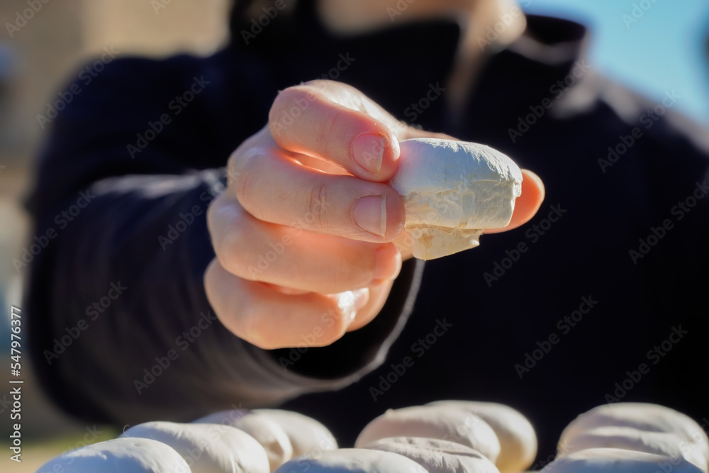 woman's hand picking a mushroom with the black background for copy space woman's hand picking a mushroom with the black background for copy space
