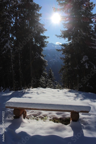 Fresh snow covered bench at a mountain lookout spot between tall evergreens. Winter mountain background (Verbier, Switzerland) Snow covered bench in the sun