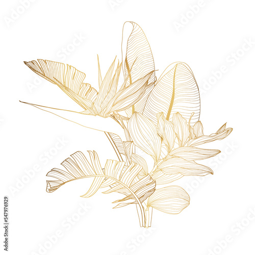 Foto Golden floral composition with line troical strelitzia flower and leaves on white