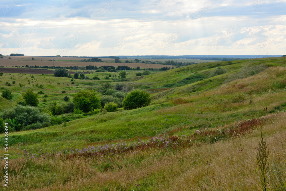 green valley with bushes and agricultural field and cloudy sky on horizon