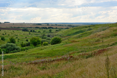 green valley with bushes and agricultural field and cloudy sky on horizon
