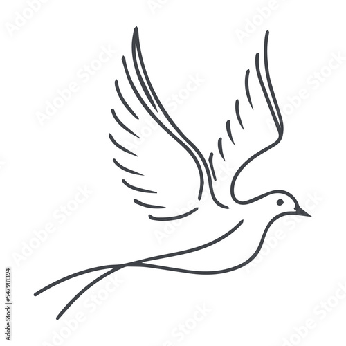 Fototapeta Naklejka Na Ścianę i Meble -  Dove minimal line art logo. Outline illustration design of bird flying. Isolated silhouette drawing