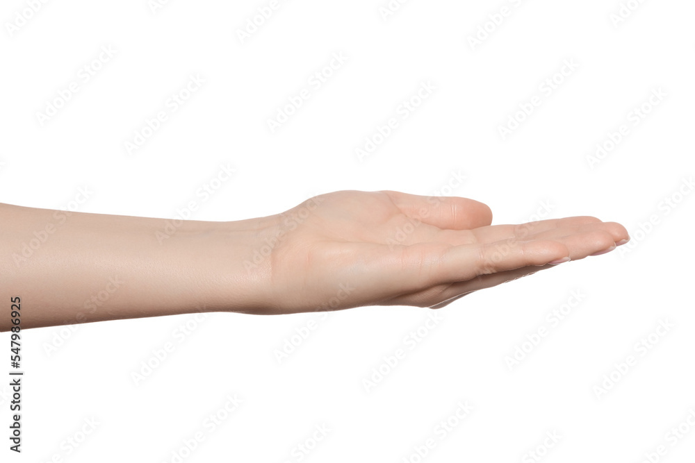 Hand empty palm up, copy space Hand empty palm up, copy space