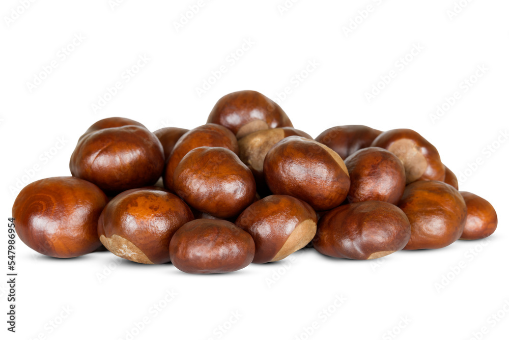 A group of chestnuts isolated on a white background. A group of chestnuts isolated on a white background.