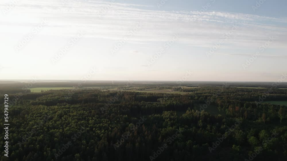 Beautiful aerial view of the endless forests and meadows on a sunny summer day