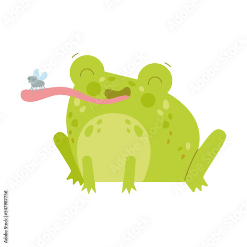 Cute happy toad or frog character caught fly with long sticky tongue flat vector illustration. Funny drawings of green amphibian isolated on white background. Nature concept