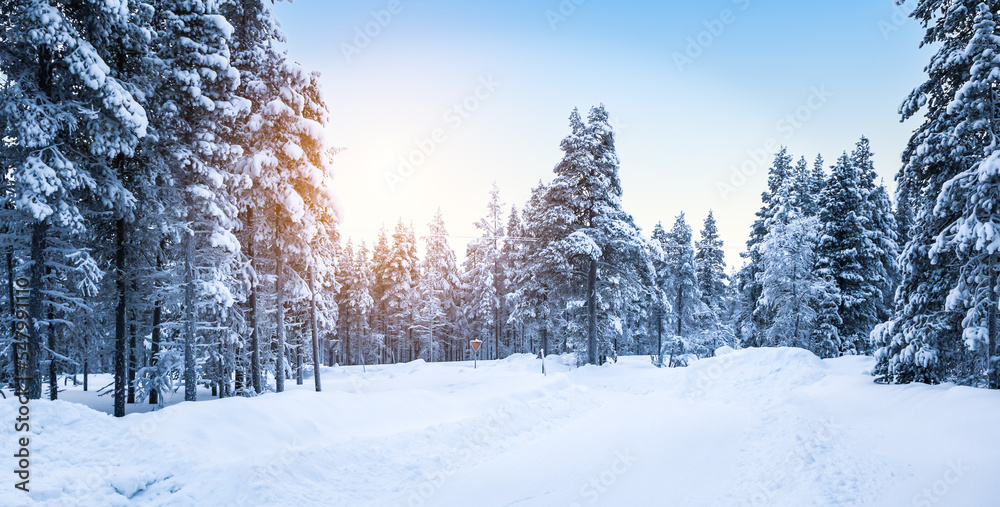Obraz premium Stunning winter forest landscape with snow covered road in Finland.