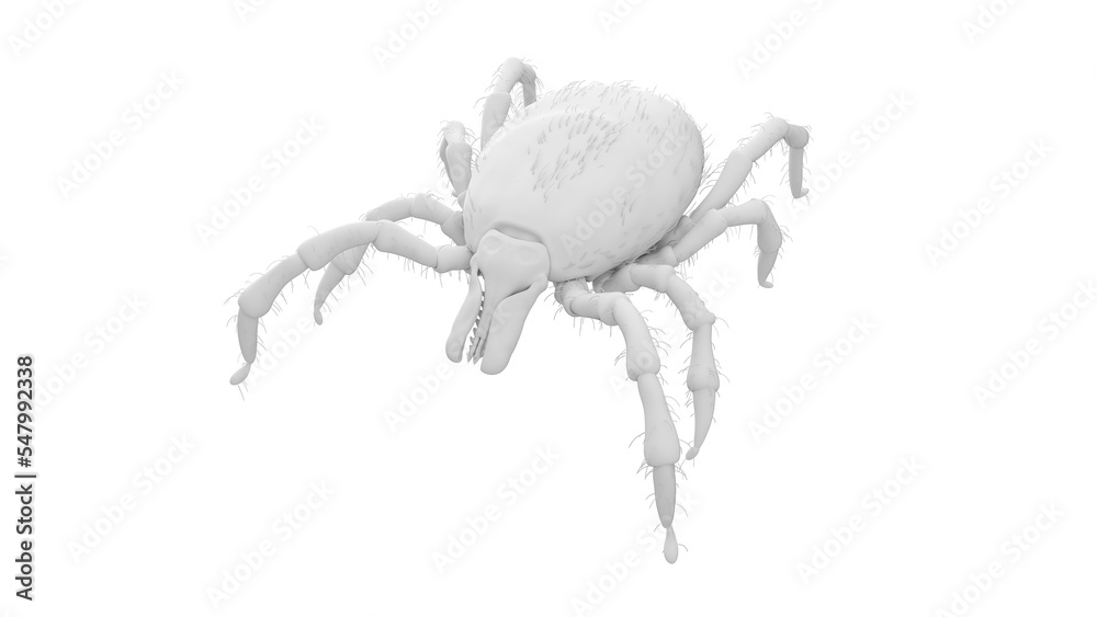 3D Rendered Illustration of a Tick. 3D Rendered Illustration of a Tick.