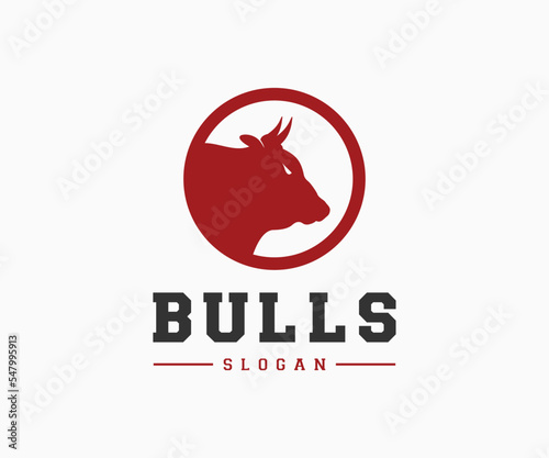 Bull logo design vector. Bull head logo and symbol