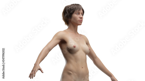 Schilderij op canvas 3D Rendered Medical Illustration of Female Anatomy - The Skin