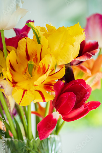 fresh tulips in the vase