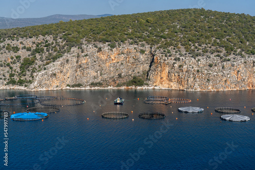 small ocean cove on the coast of the Peloponnese in Greece with aquaculture fish culture nets and maintenance boat