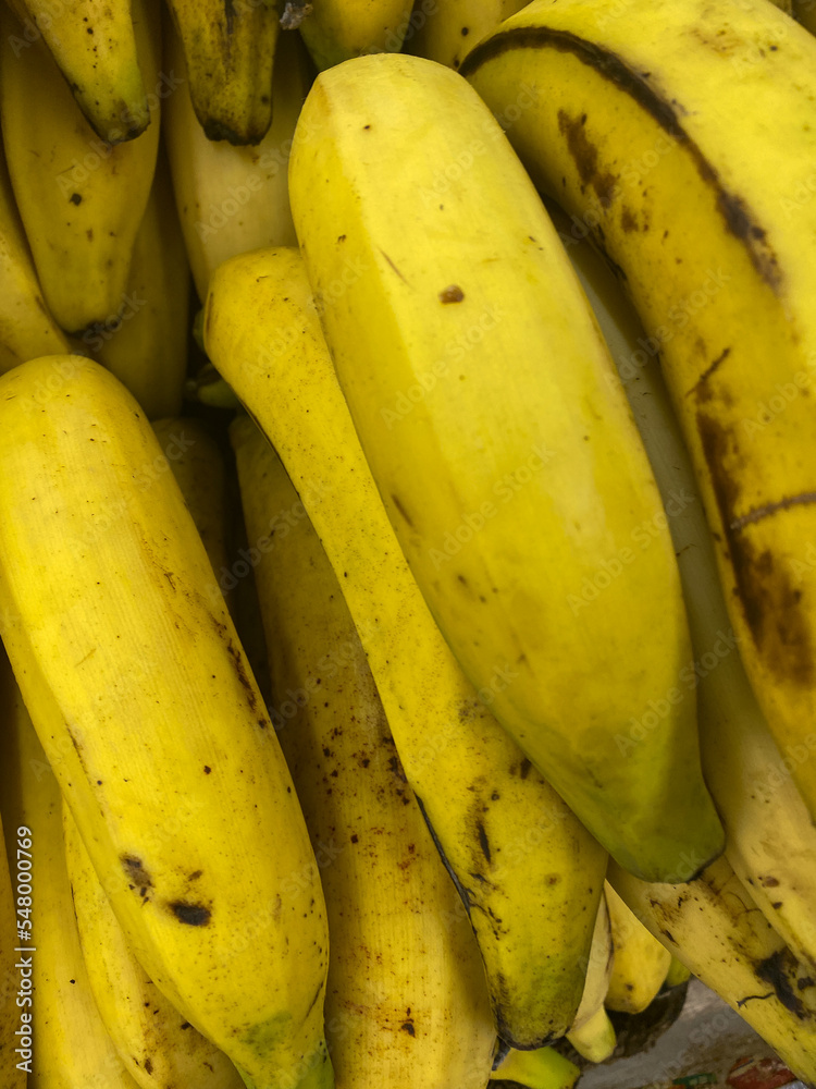 Close up bunch of plantain