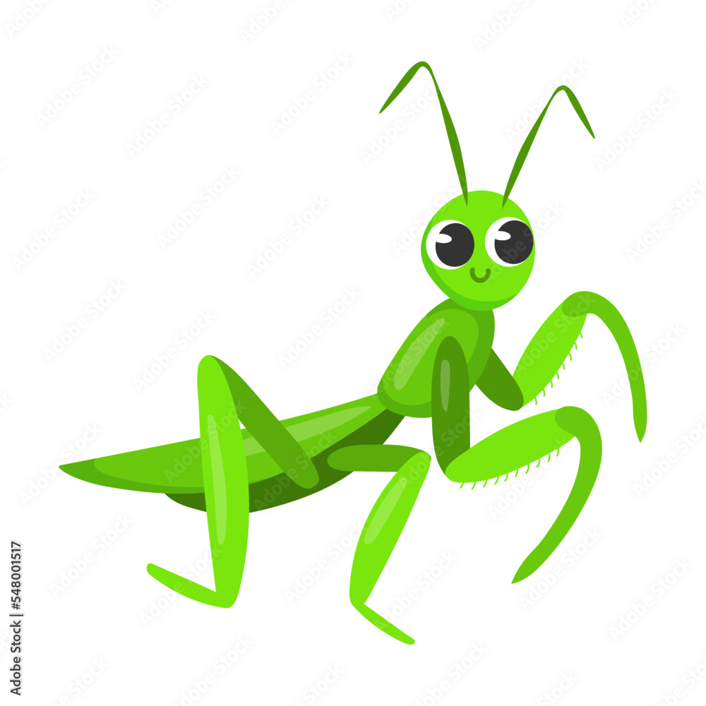 Fototapeta premium Cute mantis cartoon character vector illustration. Funny forest or garden animals isolated on white background. Insects, nature concept