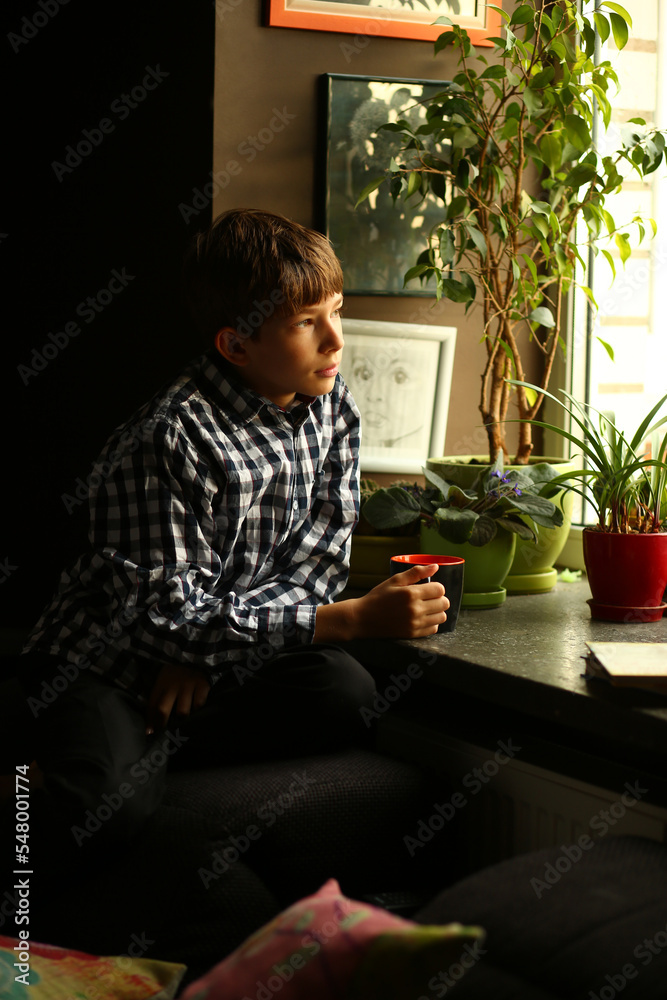 Indoor portrait of a boy dreaming and reading neat the window Indoor portrait of a boy dreaming and reading neat the window