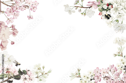 Fototapeta Naklejka Na Ścianę i Meble -  a frame design of flowers with a blank background