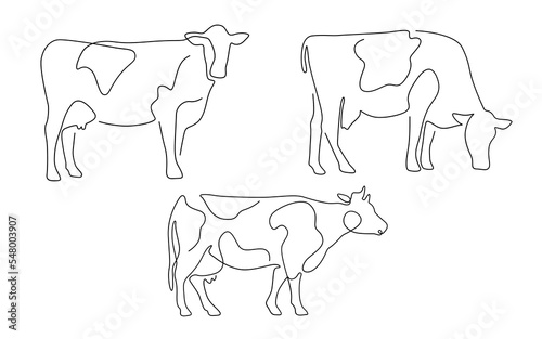 set of animal farm cow and ox line art , hand drawn for logo design. © baddesigner
