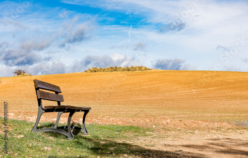 Bench on meadow in countryside landscape with blue sky