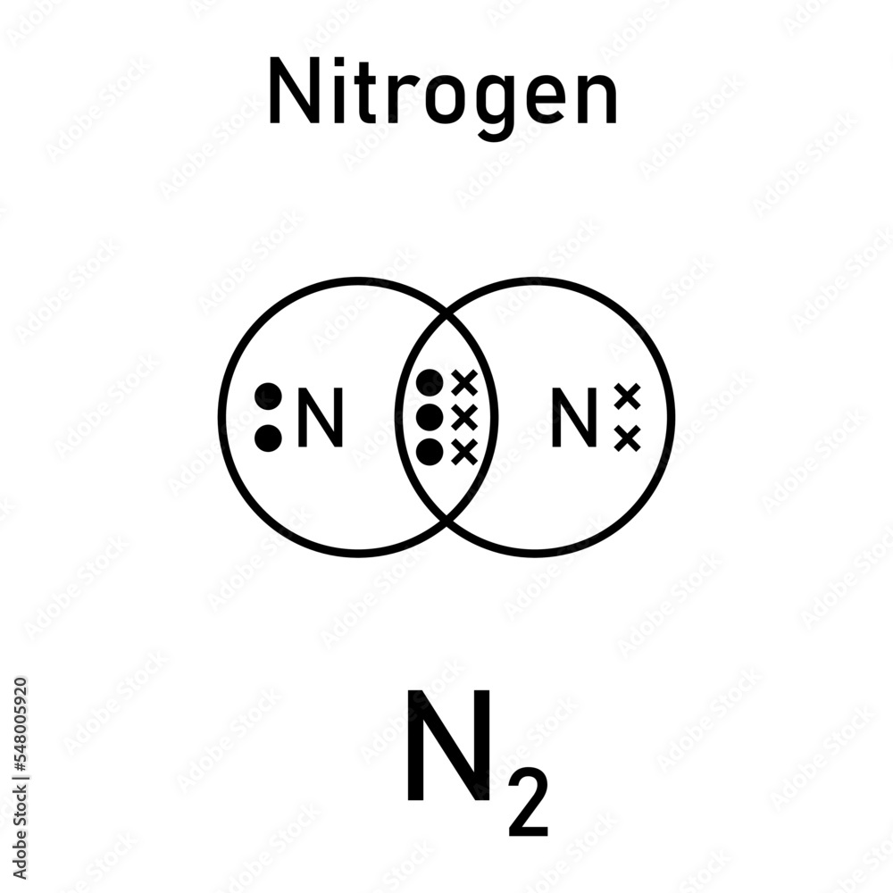 Vetor De Dot And Cross Diagrams For Simple Covalent Molecules Of Nitrogen N2 Molecular 