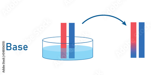 Bases cause red litmus paper to turn  blue. Scientific vector illustration isolated on white background.