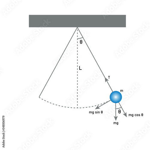 Diagram of simple pendulum harmonic motion. Scientific vector illustration isolated on white background.