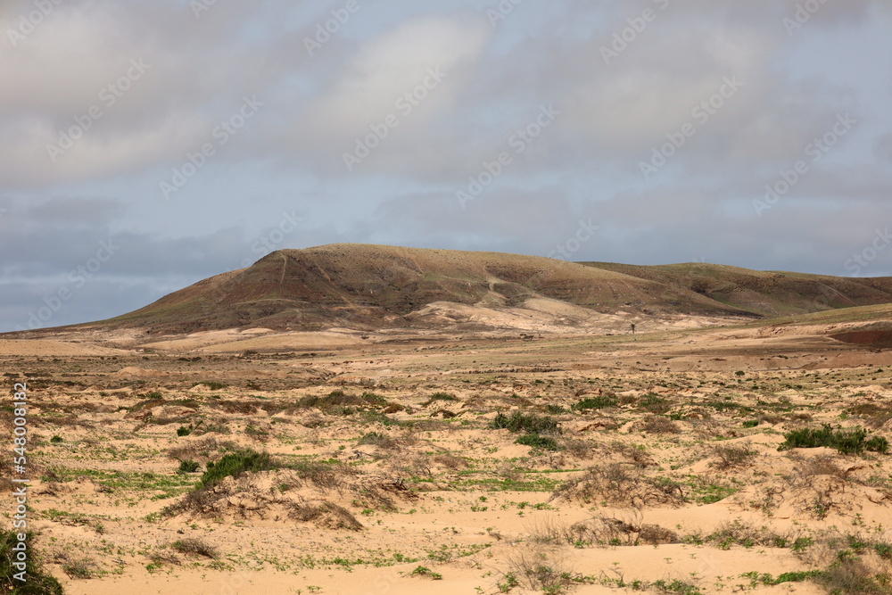 View on valley in Fuerteventura