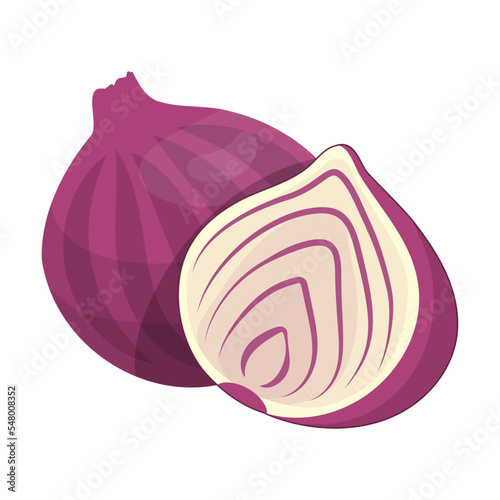 Fresh red onion vector illustration. Onions cut into slices, ripe vegetables isolated on white background. Food, agriculture, nature concept