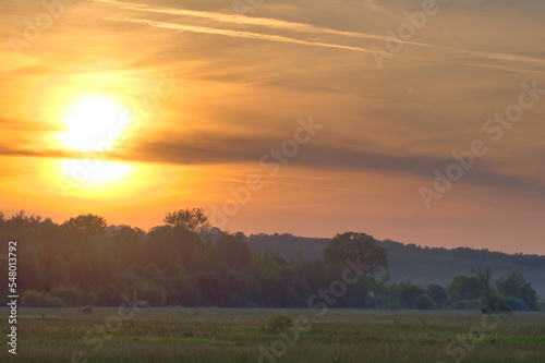 Misty sunset. Summer landscape. Trees.