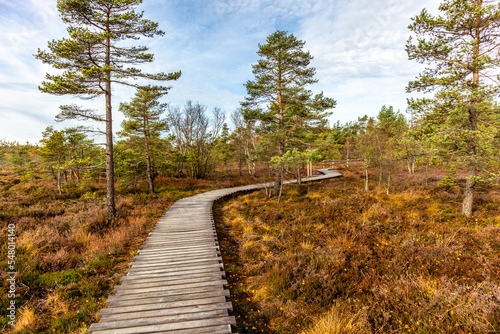 Herbstliche Erkundungstour durch die Rhön in der Nähe des Schwarzen Moors - Fladungen - Bayern