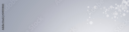 White Snowflake Vector Transparent Panoramic