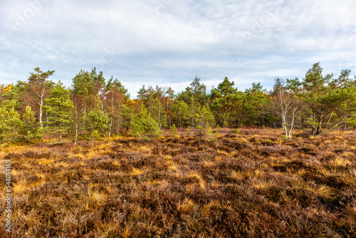 Herbstliche Erkundungstour durch die Rhön in der Nähe des Schwarzen Moors - Fladungen - Bayern