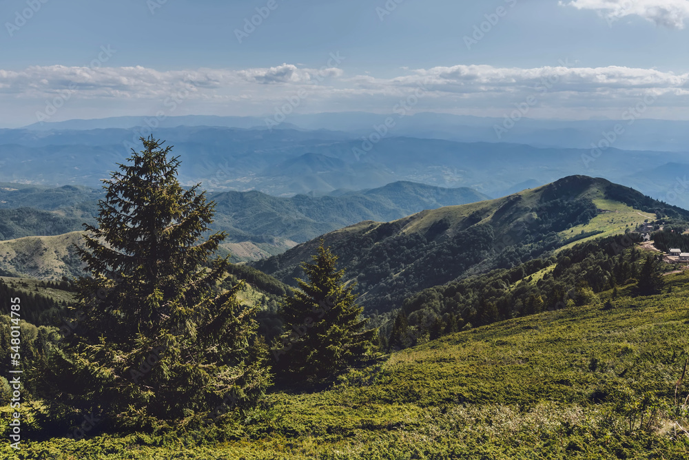 Mountain Landscape in National Park Kopaonik