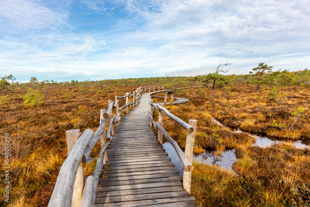 Herbstliche Erkundungstour durch die Rhön in der Nähe des Schwarzen Moors - Fladungen - Bayern