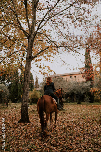 horse and rider, horse in autumn