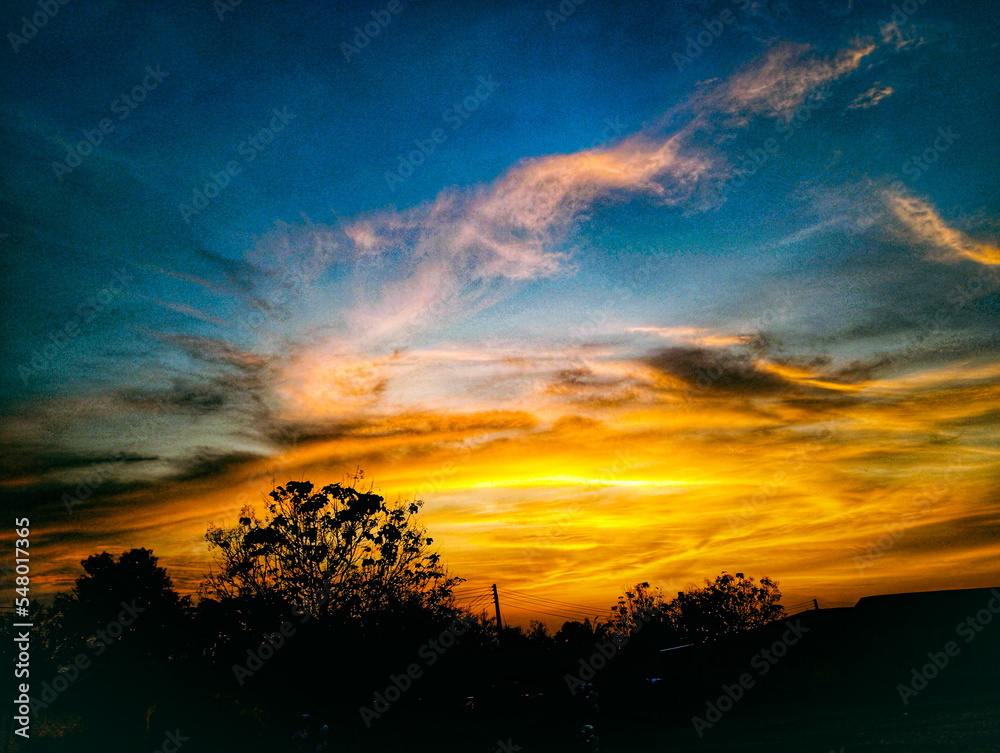 Obraz premium sunset in the field