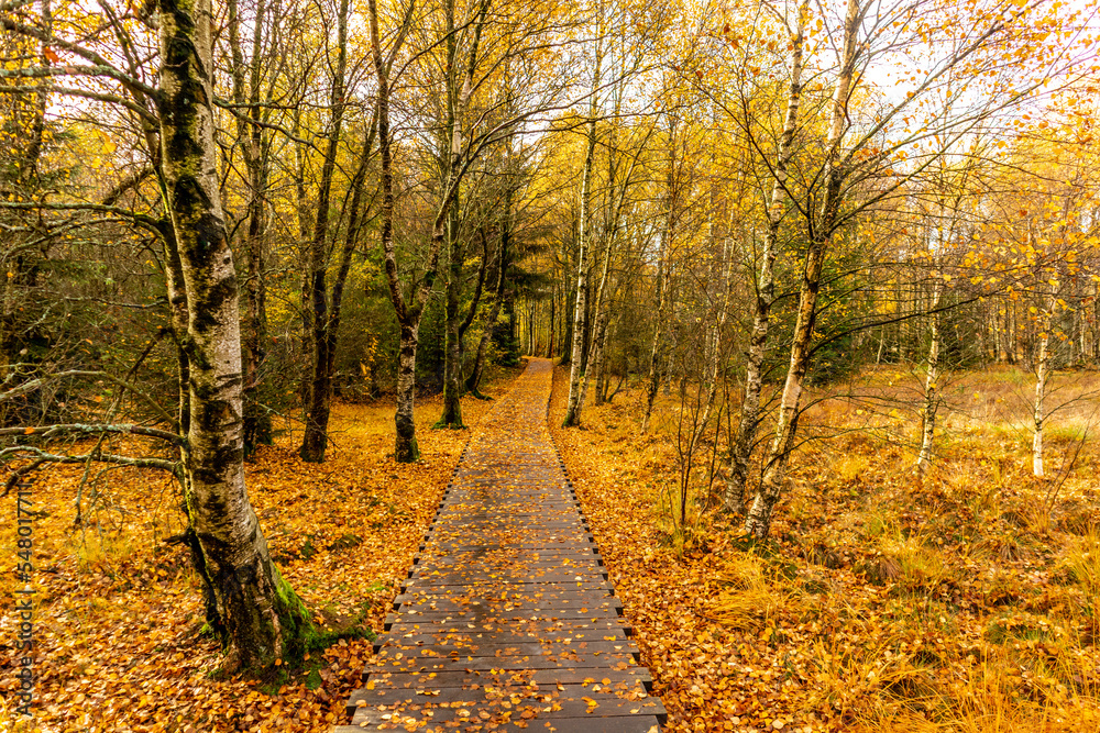 Herbstliche Erkundungstour durch die Rhön in der Nähe des Schwarzen Moors - Fladungen - Bayern Herbstliche Erkundungstour durch die Rhön in der Nähe des Schwarzen Moors - Fladungen - Bayern