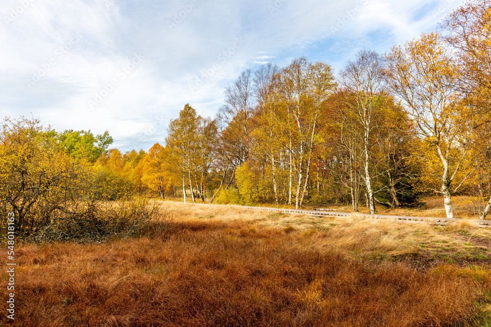 Fototapeta premium Herbstliche Erkundungstour durch die Rhön in der Nähe des Schwarzen Moors - Fladungen - Bayern