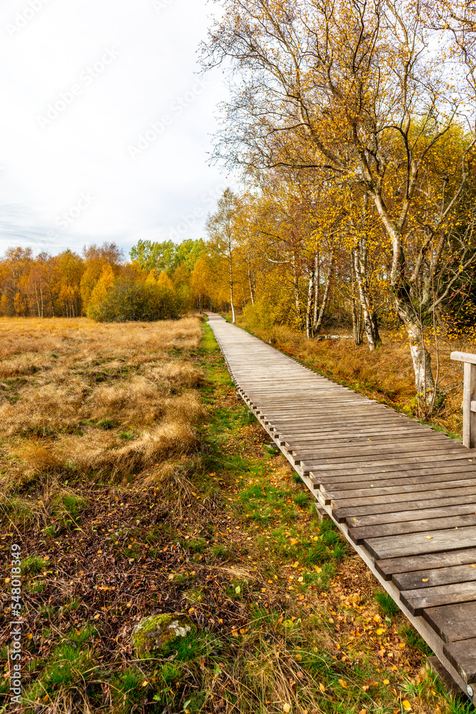 Herbstliche Erkundungstour durch die Rhön in der Nähe des Schwarzen Moors - Fladungen - Bayern Herbstliche Erkundungstour durch die Rhön in der Nähe des Schwarzen Moors - Fladungen - Bayern