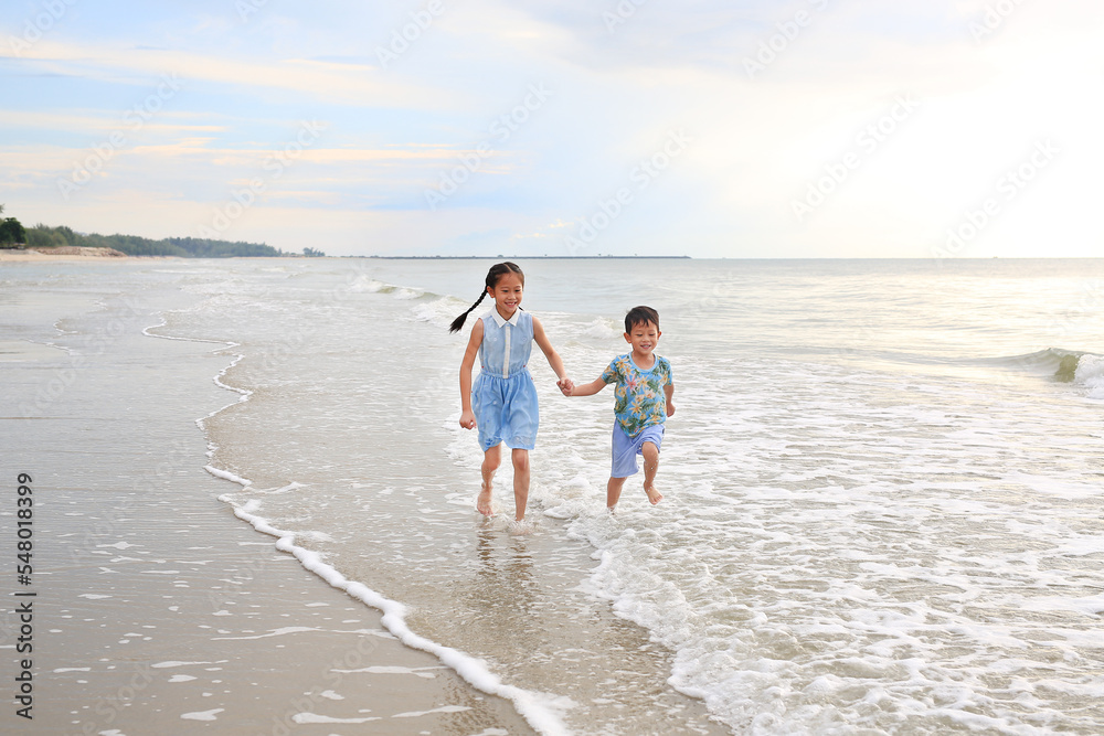 Cheerful Asian young sister and little brother having fun together on tropical sand beach