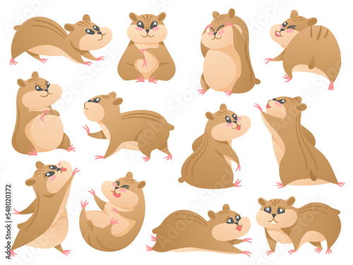 Cartoon hamsters. Cute pet in different poses, fluffy rodent and hamster mascot isolated vector Illustration set