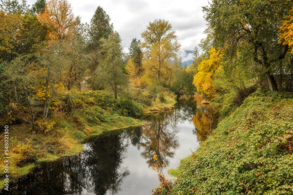 autumn in the forest