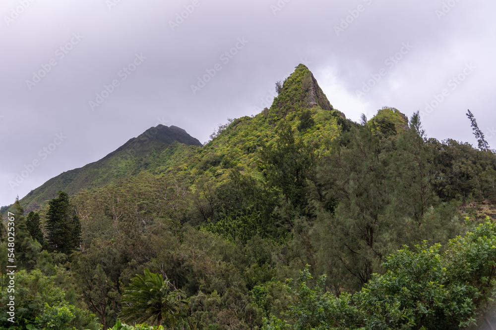 Stunning landscape views for tourism, travel use on Oa'hu in Hawaii during spring time. 