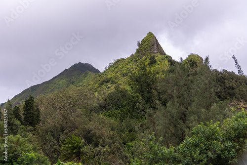 Stunning landscape views for tourism, travel use on Oa'hu in Hawaii during spring time. 